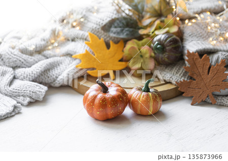 Autumn still life with pumpkins, leaves and knitted element. 135873966