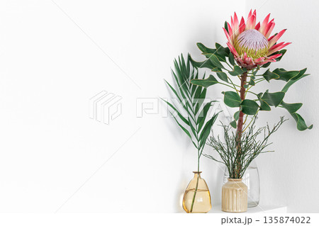Beautiful protea flower on a white background isolated. 135874022