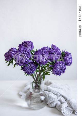Glass vase with blue chrysanthemum flowers, close up. 135874081