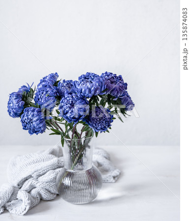 Glass vase with blue chrysanthemum flowers, copy space. Glass vase with blue chrysanthemum flowers, copy space. 135874083