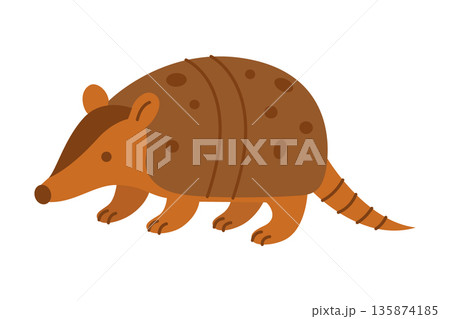 Brown armadillo. Cute flat vector animal design for wildlife and educational illustrations 135874185