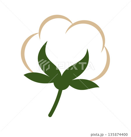 Cotton flower icon with green sepals and soft white bolls. Flat vector botanical illustration for natural product branding 135874400