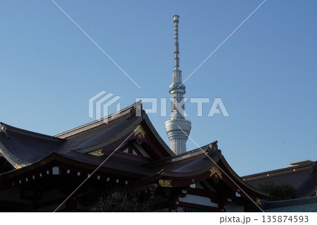 亀戸天神社と東京スカイツリー 亀戸天神社と東京スカイツリー 135874593