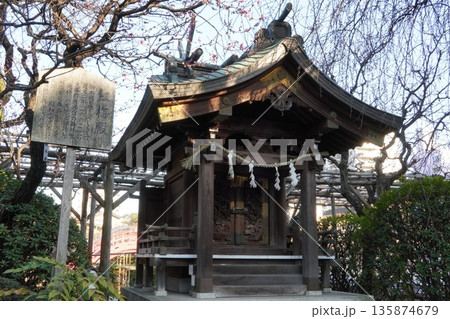 亀戸天神社の紅梅殿 135874679