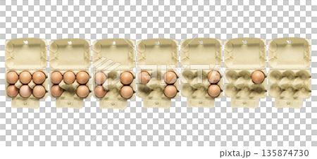 six eggs in a cardboard container 135874730