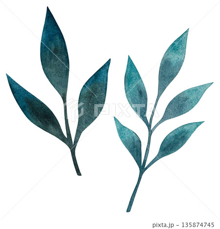 A vibrant watercolor illustration featuring lush turquoise peony leaves against a crisp white background. 135874745