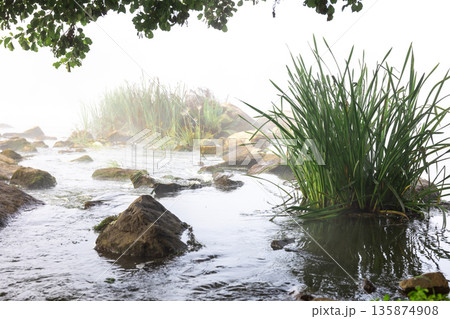 River with rapids in the early morning fog. 135874908