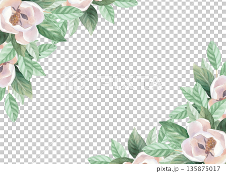 Corners frame of a buds and leaves of magnolia. Handmade watercolor illustration. For packaging design, cards, cover, wallpaper, prints, product labels and fabric. 135875017