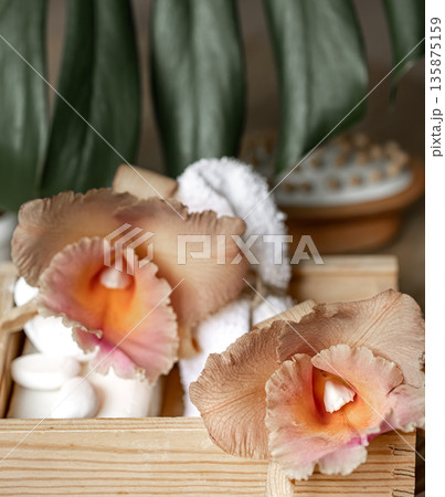 Spa composition with Thai orchid flowers and bath accessories. Spa composition with Thai orchid flowers and bath accessories. 135875159