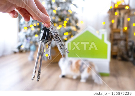 Keys in hand on background fairy lights Christmas tree and tiny house gift and cat for New Year, Christmas. Building, design, project, moving, insurance, mortgage, rent and purchase real estate. 135875229