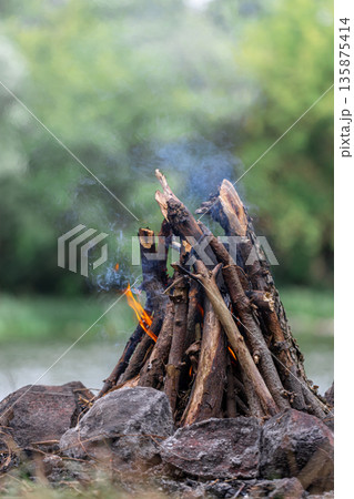 Unburned campfire with tree branches in forest, copy space. Unburned campfire with tree branches in forest, copy space. 135875414