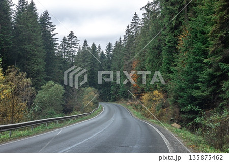 Winding road in a mountainous area in a coniferous forest. 135875462