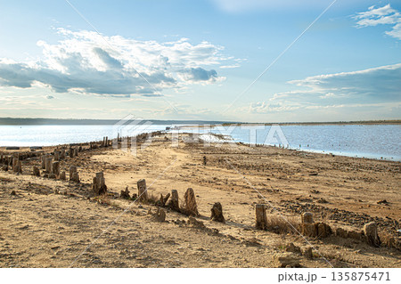 Wooden columns protrude from the kuyalnitsky estuary 135875471