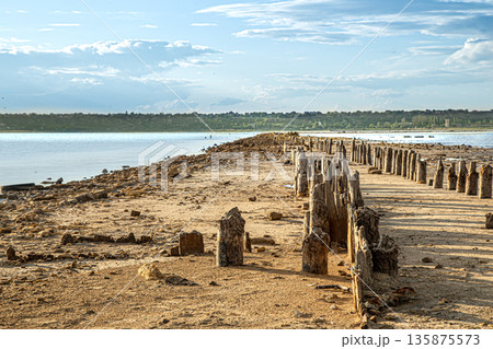 The landscape of the estuary near Odessa in Ukraine with wooden piles - the remains of piers. The landscape of the estuary near Odessa in Ukraine with wooden piles - the remains of piers. 135875573