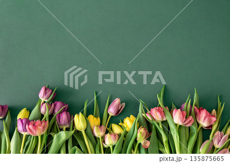 Flat lay, tulips on a colored background. Flat lay, tulips on a colored background. 135875665
