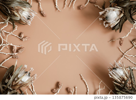 Close up of natural exotic protea flowers copy space. 135875690