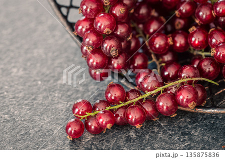 Macro shot of red currant berries on blurred background. 135875836