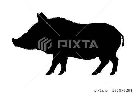 Black silhouette of a wild boar in side view without background. 135876291