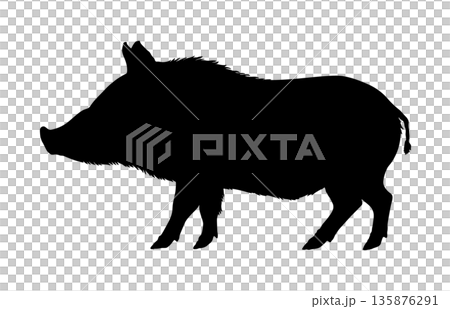 Black silhouette of a wild boar in side view without background. 135876291