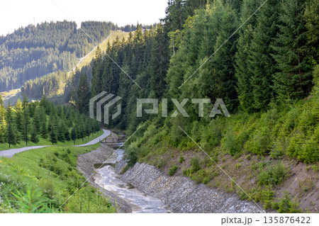 Mountain path along stream in conifer forest. Natural green trail. Mountain path along stream in conifer forest. Natural green trail. 135876422