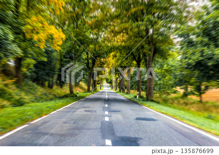 Straight road through green trees. Motion and calmness. Straight road through green trees. Motion and calmness. 135876699