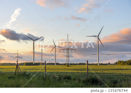 Wind turbines and power lines. Clean energy at sunset. Field and technology Wind turbines and power lines. Clean energy at sunset. Field and technology 135876744
