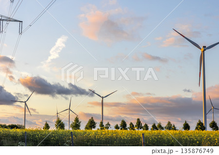 Wind turbines among trees. Eco energy and rapeseed field. Warm sky Wind turbines among trees. Eco energy and rapeseed field. Warm sky 135876749