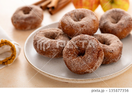 Apple cider or pumpkin spice donuts fall dessert idea Apple cider or pumpkin spice donuts fall dessert idea 135877356