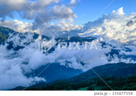 Rolling Clouds Over Mountain Hehuan Forest in Nantou Taiwan. 135877559