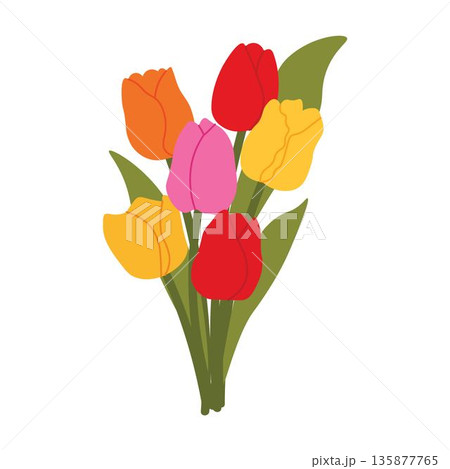 Bouquet of fresh yellow, red and pink tulips. Floral illustration in a soft, elegant style for spring holidays and Mother's Day Bouquet of fresh yellow, red and pink tulips. Floral illustration in a soft, elegant style for spring holidays and Mother's Day 135877765