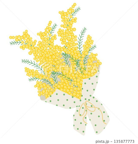 Bouquet of yellow mimosa wrapped in decorative paper with dots, tied with a ribbon. Floral illustration in a soft, elegant style for spring holidays 135877773