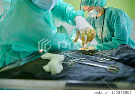 Surgeons in Green Scrubs Performing Surgery in Operating Room with Surgical Tools Surgeons in Green Scrubs Performing Surgery in Operating Room with Surgical Tools 135878007