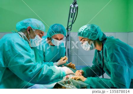 Medical Team Performs Surgical Procedure In Operating Room With Green Gowns And Masks During Anesthesia 135878014
