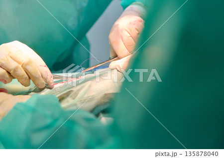 Surgical Team Performs Delicate Operation In Operating Room With Precision And Care Surgical Team Performs Delicate Operation In Operating Room With Precision And Care 135878040