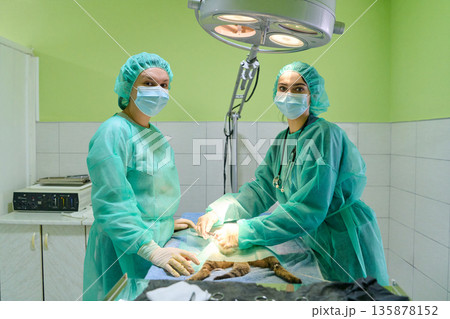 Surgeons In Green Scrubs Performing Surgery In A Bright Operating Room With Overhead Lights 135878152