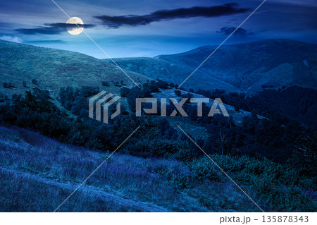 beautiful mountain landscape in summer at night. scenic view of green grassy hills with alpine forest in full moon light. picturesque scene for outdoor tourism under dark sky. mysterious fantasy beautiful mountain landscape in summer at night. scenic view of green grassy hills with alpine forest in full moon light. picturesque scene for outdoor tourism under dark sky. mysterious fantasy 135878343