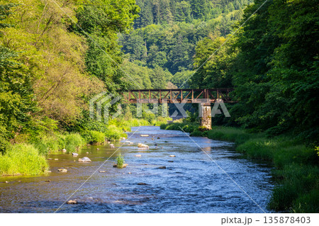 A view of the Jizera River with green trees lining the banks. A metal bridge crosses over the river. Rocks are visible in the water during a bright summer day. A view of the Jizera River with green trees lining the banks. A metal bridge crosses over the river. Rocks are visible in the water during a bright summer day. 135878403