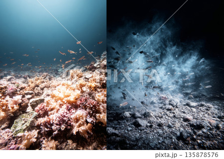 On the left, coral and fish thrive in clear water. On the right, broken coral is covered in silt and fish swim away from the disturbance. This reflects damage to marine life 135878576