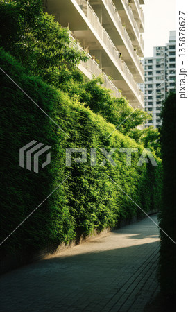 A vibrant green hedge provides a natural barrier for a residential complex in the city, with gentle sunlight filtering through the leaves, creating a peaceful atmosphere 135878627