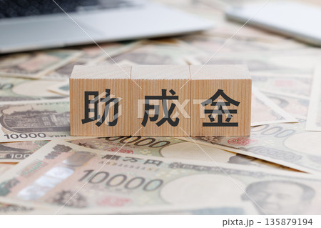 お金の上に助成金と書かれたブロック お金の上に助成金と書かれたブロック 135879194