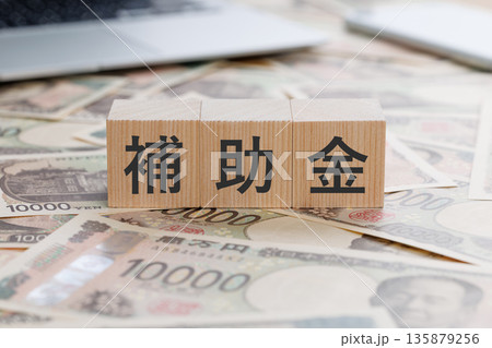 お金の上に補助金と書かれたブロック 135879256