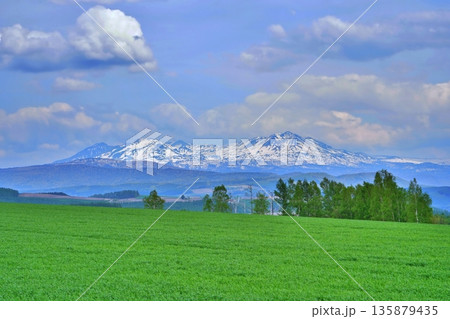 春の大雪山連峰 135879435