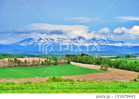 北海道上富良野の丘陵地帯と十勝岳連峰 135879445