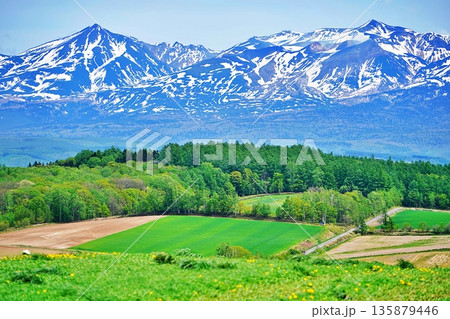 北海道十勝岳連峰 135879446