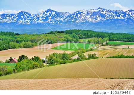 北海道上富良野の丘陵地帯と十勝岳連峰 135879447