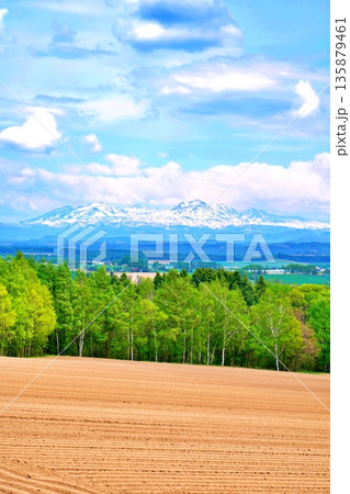 北海道上富良野の丘陵地帯と大雪山連峰 135879461