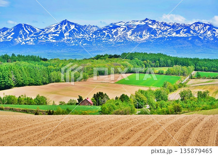 北海道上富良野の丘陵地帯と十勝山脈の絶景 北海道上富良野の丘陵地帯と十勝山脈の絶景 135879465