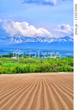 北海道上富良野の丘陵地帯と十勝山脈の絶景 北海道上富良野の丘陵地帯と十勝山脈の絶景 135879466