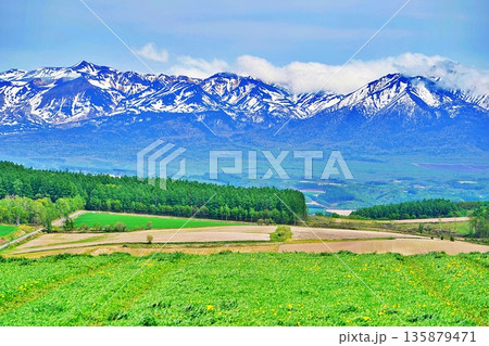 北海道上富良野の丘陵地帯と十勝山脈の絶景 135879471