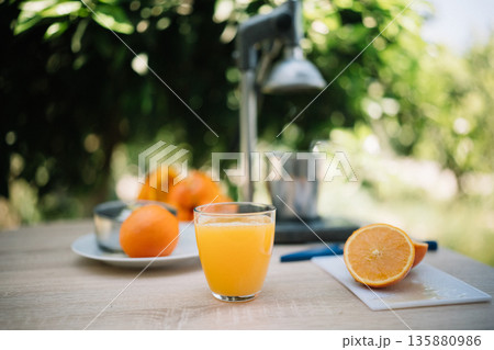 Fresh orange juice is made with a juicer and ripe oranges on a sunny day in a garden Fresh orange juice is made with a juicer and ripe oranges on a sunny day in a garden 135880986